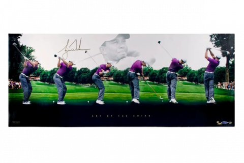 Tiger Woods Signed Montage Print: Art of The Swing Panoramic
